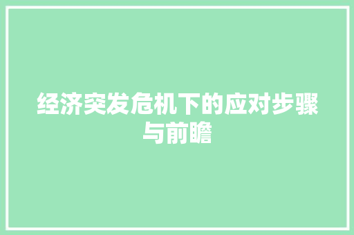 经济突发危机下的应对步骤与前瞻 经济突发危机下的应对步骤与前瞻