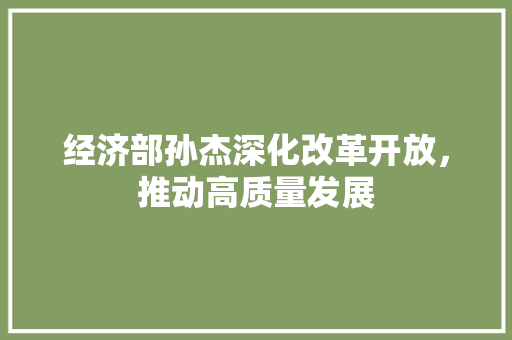 经济部孙杰深化改革开放,推动高质量发展 经济部孙杰深化改革开放,推动高质量发展