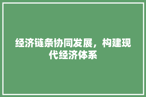 经济链条协同发展,构建现代经济体系 经济链条协同发展,构建现代经济体系