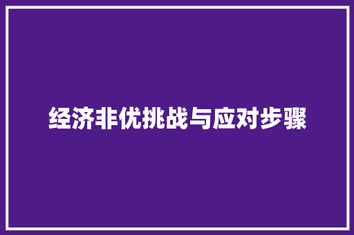 经济非优挑战与应对步骤 经济非优挑战与应对步骤