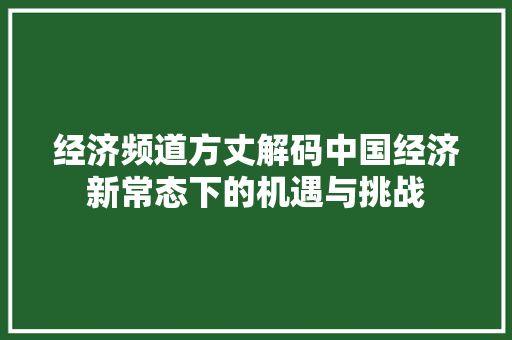 经济频道方丈解码中国经济新常态下的机遇与挑战 经济频道方丈解码中国经济新常态下的机遇与挑战