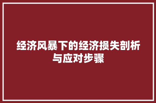 经济风暴下的经济损失剖析与应对步骤 经济风暴下的经济损失剖析与应对步骤
