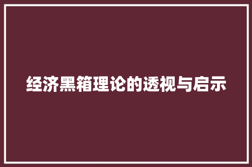 经济黑箱理论的透视与启示 经济黑箱理论的透视与启示