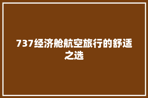 737经济舱航空旅行的舒适之选