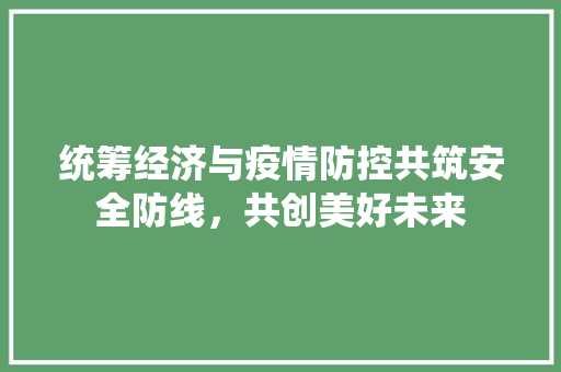 统筹经济与疫情防控共筑安全防线,共创美好未来 统筹经济与疫情防控共筑安全防线,共创美好未来