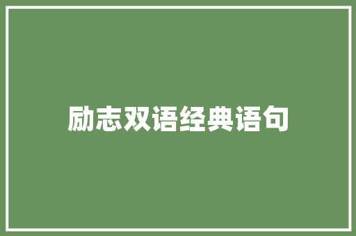 绵阳夜市经济烟火气中的城市活力与魅力 绵阳夜市经济烟火气中的城市活力与魅力