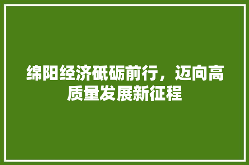 绵阳经济砥砺前行,迈向高质量发展新征程 绵阳经济砥砺前行,迈向高质量发展新征程