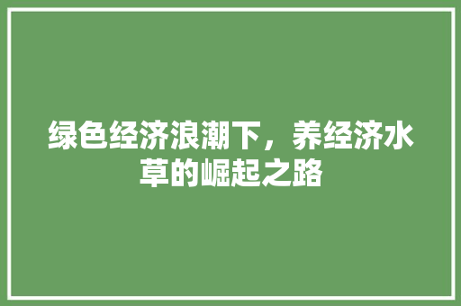 绿色经济浪潮下,养经济水草的崛起之路 绿色经济浪潮下,养经济水草的崛起之路