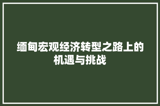 缅甸宏观经济转型之路上的机遇与挑战 缅甸宏观经济转型之路上的机遇与挑战