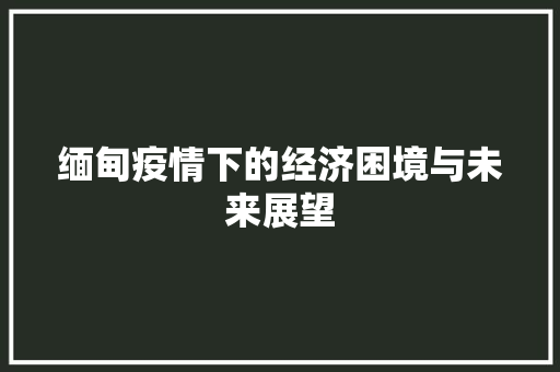缅甸疫情下的经济困境与未来展望 缅甸疫情下的经济困境与未来展望
