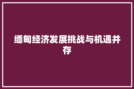 缅甸经济发展挑战与机遇并存 缅甸经济发展挑战与机遇并存