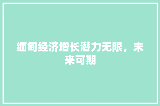 缅甸经济增长潜力无限,未来可期 缅甸经济增长潜力无限,未来可期