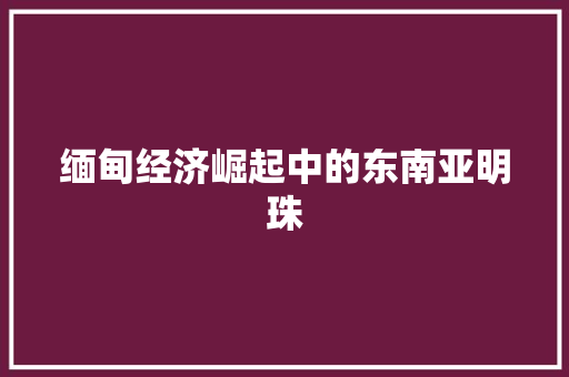 缅甸经济崛起中的东南亚明珠 缅甸经济崛起中的东南亚明珠