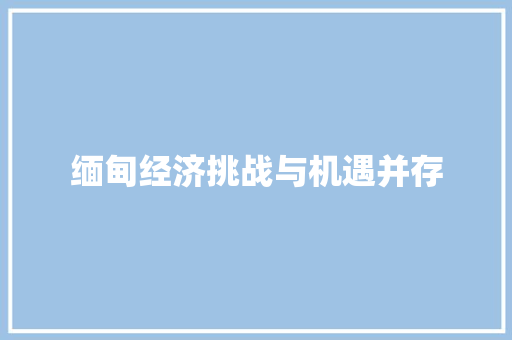 缅甸经济挑战与机遇并存 缅甸经济挑战与机遇并存