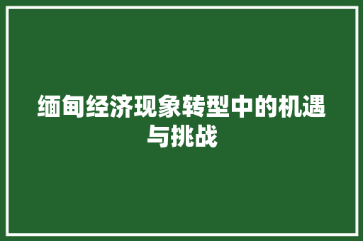 缅甸经济现象转型中的机遇与挑战 缅甸经济现象转型中的机遇与挑战