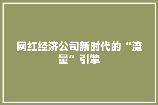 网红经济公司新时代的“流量”引擎 网红经济公司新时代的“流量”引擎