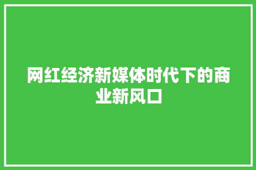 网红经济新媒体时代下的商业新风口 网红经济新媒体时代下的商业新风口