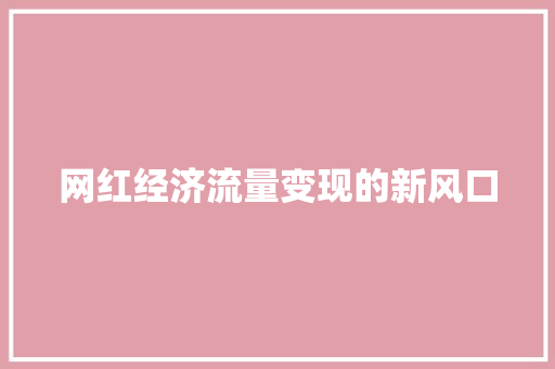网红经济流量变现的新风口 网红经济流量变现的新风口