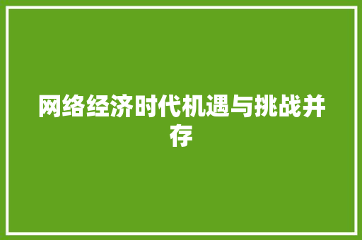 网络经济时代机遇与挑战并存 网络经济时代机遇与挑战并存