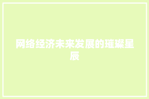 网络经济未来发展的璀璨星辰