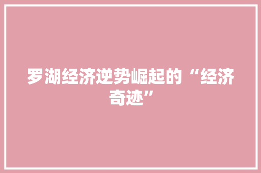 罗湖经济逆势崛起的“经济奇迹” 罗湖经济逆势崛起的“经济奇迹”