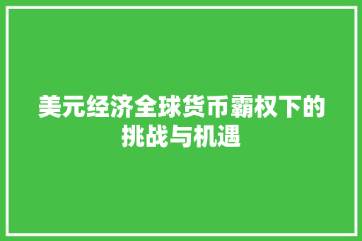 美元经济全球货币霸权下的挑战与机遇