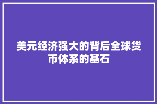 美元经济强大的背后全球货币体系的基石 美元经济强大的背后全球货币体系的基石