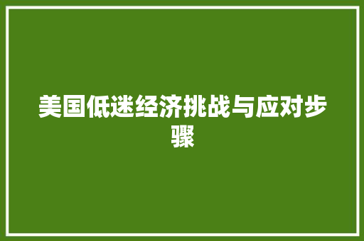 美国低迷经济挑战与应对步骤 美国低迷经济挑战与应对步骤
