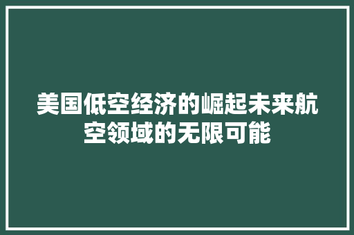 美国低空经济的崛起未来航空领域的无限可能 美国低空经济的崛起未来航空领域的无限可能