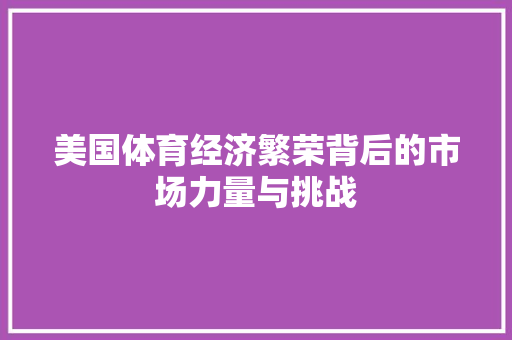 美国体育经济繁荣背后的市场力量与挑战 美国体育经济繁荣背后的市场力量与挑战