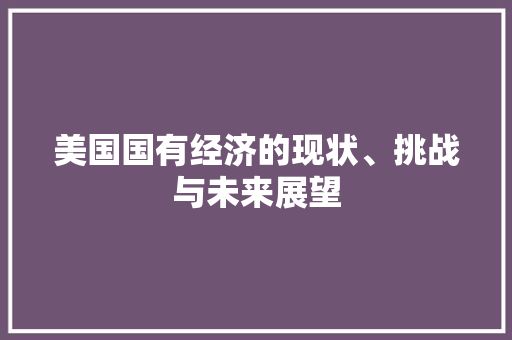 美国国有经济的现状、挑战与未来展望 美国国有经济的现状、挑战与未来展望