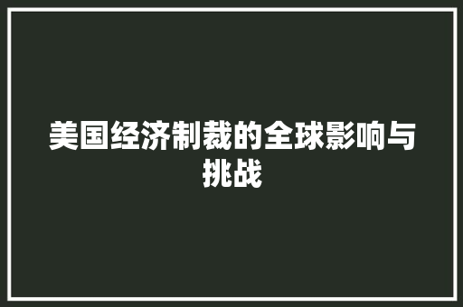 美国经济制裁的全球影响与挑战 美国经济制裁的全球影响与挑战