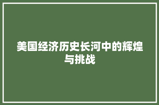 美国经济历史长河中的辉煌与挑战 美国经济历史长河中的辉煌与挑战