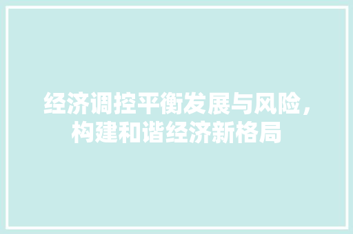 经济调控平衡发展与风险,构建和谐经济新格局 经济调控平衡发展与风险,构建和谐经济新格局