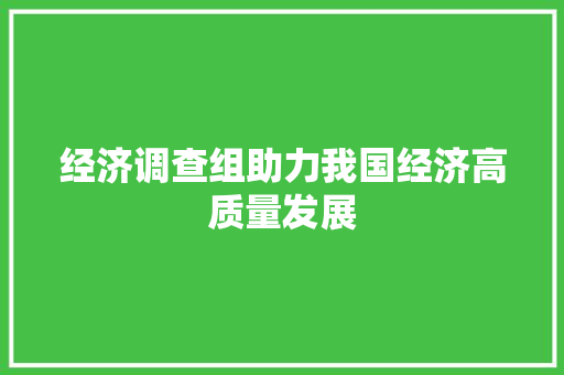 经济调查组助力我国经济高质量发展 经济调查组助力我国经济高质量发展