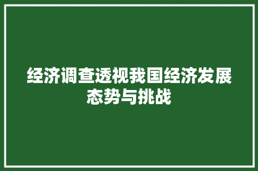 经济调查透视我国经济发展态势与挑战 经济调查透视我国经济发展态势与挑战