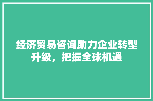 经济贸易咨询助力企业转型升级,把握全球机遇 经济贸易咨询助力企业转型升级,把握全球机遇
