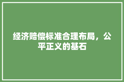 经济赔偿标准合理布局,公平正义的基石 经济赔偿标准合理布局,公平正义的基石