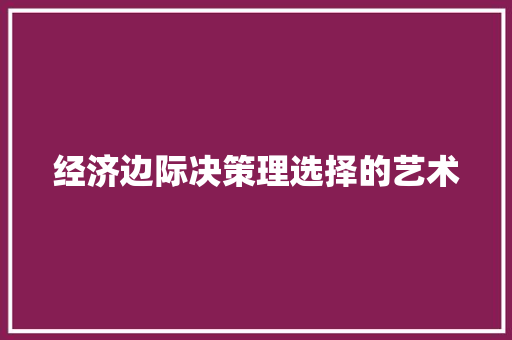 经济边际决策理选择的艺术 经济边际决策理选择的艺术