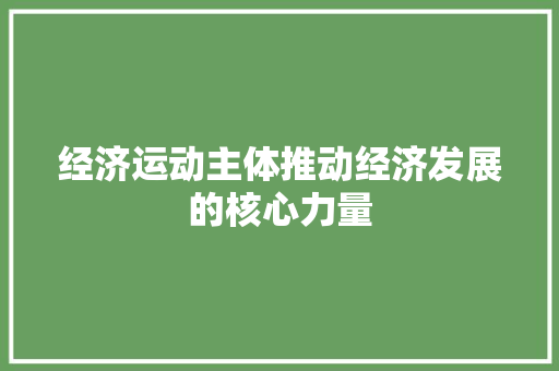 经济运动主体推动经济发展的核心力量 经济运动主体推动经济发展的核心力量