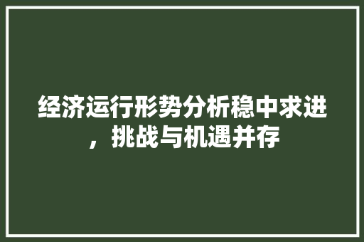 经济运行形势分析稳中求进,挑战与机遇并存 经济运行形势分析稳中求进,挑战与机遇并存