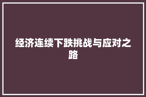 经济连续下跌挑战与应对之路