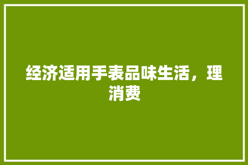 经济适用手表品味生活,理消费 经济适用手表品味生活,理消费