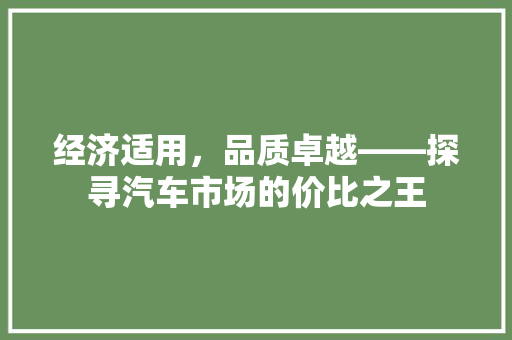 经济适用,品质卓越——探寻汽车市场的价比之王 经济适用,品质卓越——探寻汽车市场的价比之王