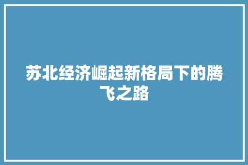 苏北经济崛起新格局下的腾飞之路 苏北经济崛起新格局下的腾飞之路