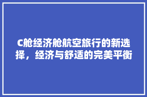 C舱经济舱航空旅行的新选择,经济与舒适的完美平衡 C舱经济舱航空旅行的新选择,经济与舒适的完美平衡