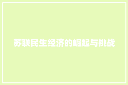 苏联民生经济的崛起与挑战 苏联民生经济的崛起与挑战