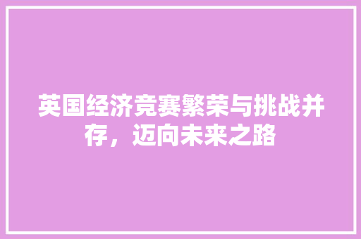 英国经济竞赛繁荣与挑战并存,迈向未来之路 英国经济竞赛繁荣与挑战并存,迈向未来之路