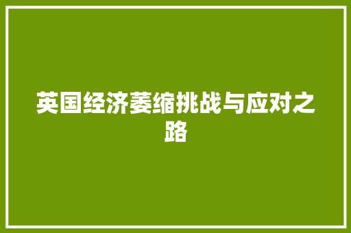 英国经济萎缩挑战与应对之路 英国经济萎缩挑战与应对之路