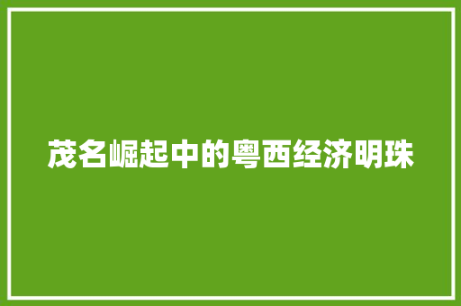 茂名崛起中的粤西经济明珠